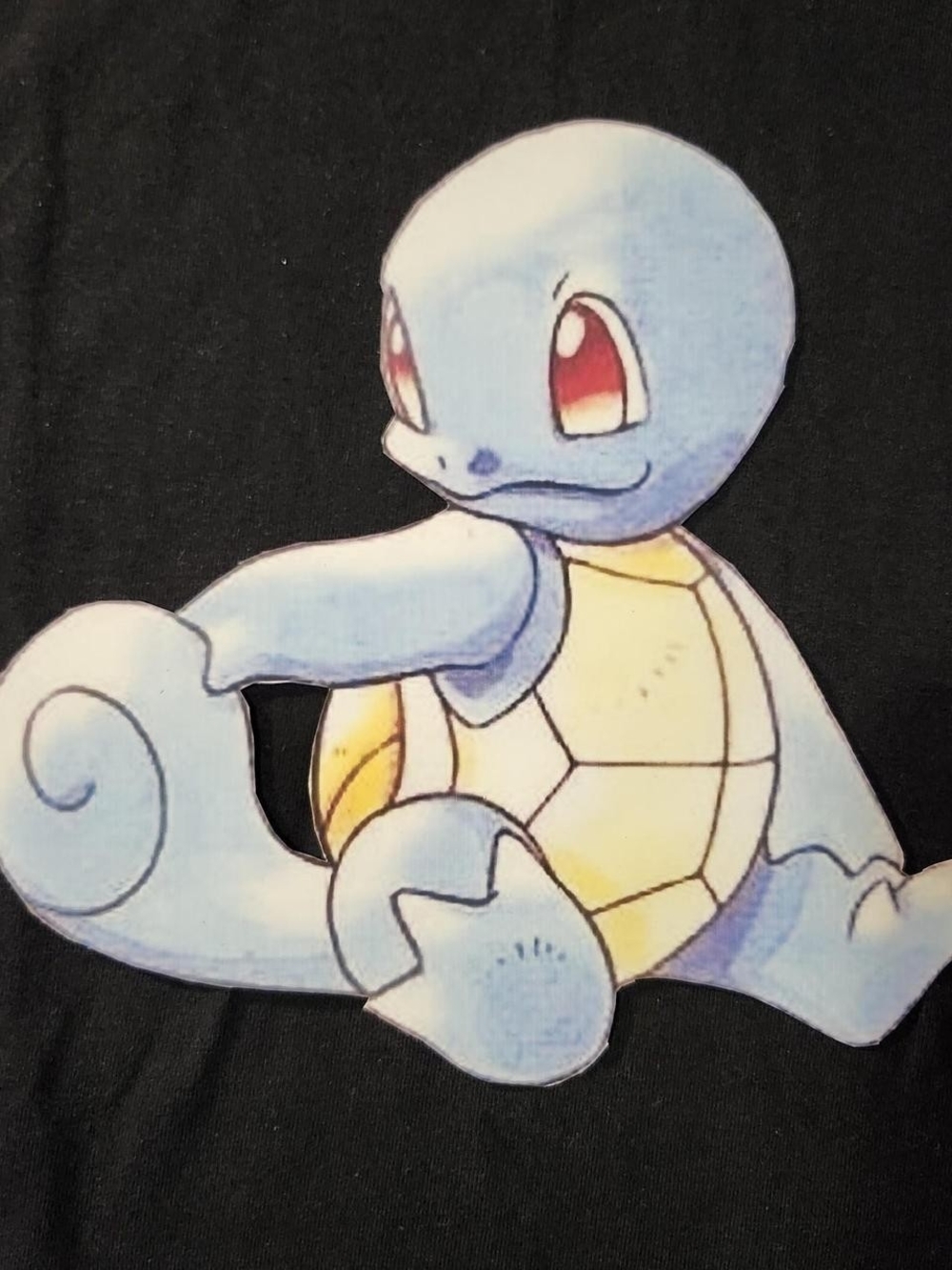 Squirtle Pokemon